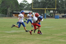 Enlarge photo 213