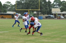 Enlarge photo 215