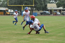 Enlarge photo 216