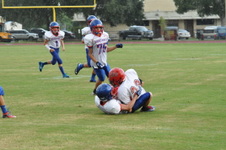 Enlarge photo 217