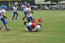 Enlarge photo 220