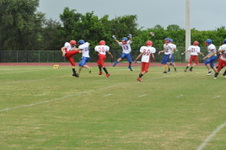 Enlarge photo 219