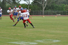 Enlarge photo 221