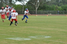 Enlarge photo 224