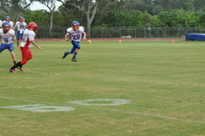 Enlarge photo 223