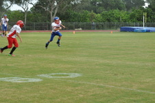Enlarge photo 225