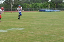 Enlarge photo 226