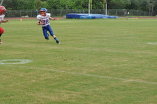 Enlarge photo 230