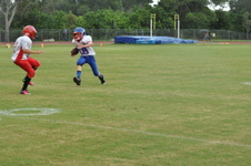 Enlarge photo 229