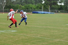 Enlarge photo 228