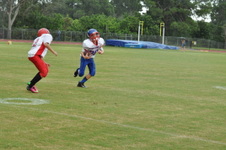 Enlarge photo 231