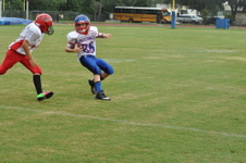 Enlarge photo 236