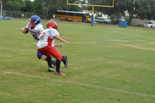 Enlarge photo 237