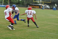 Enlarge photo 238