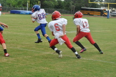 Enlarge photo 239