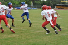 Enlarge photo 241