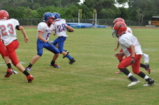 Enlarge photo 242