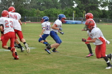 Enlarge photo 240