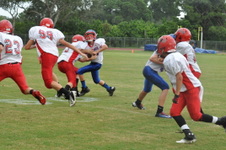 Enlarge photo 245