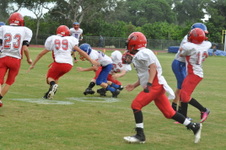 Enlarge photo 243