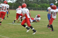 Enlarge photo 244