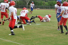 Enlarge photo 246