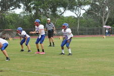 Enlarge photo 248