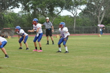 Enlarge photo 247