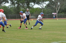 Enlarge photo 249