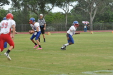 Enlarge photo 250