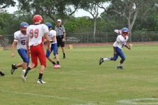 Enlarge photo 251