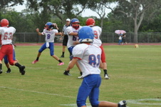 Enlarge photo 254