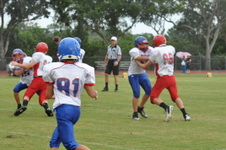 Enlarge photo 252