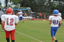 Enlarge photo 255