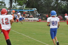 Enlarge photo 257