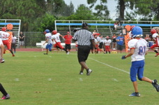 Enlarge photo 258