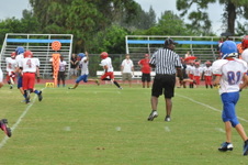 Enlarge photo 259