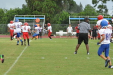 Enlarge photo 262