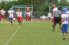 Enlarge photo 260