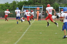 Enlarge photo 263