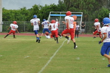 Enlarge photo 261