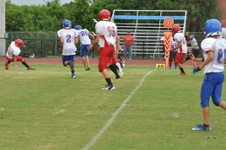 Enlarge photo 265