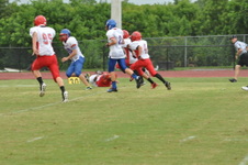 Enlarge photo 268
