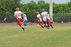 Enlarge photo 269