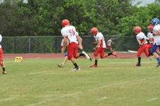Enlarge photo 271