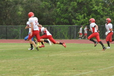 Enlarge photo 273