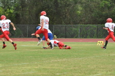 Enlarge photo 275