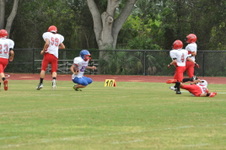 Enlarge photo 281