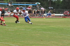 Enlarge photo 283