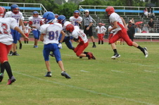 Enlarge photo 291